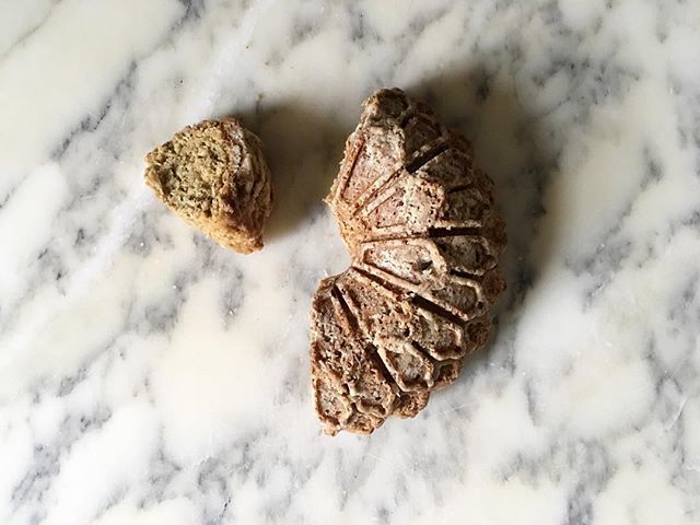 cake_historian's tweet photo. Kiddo loves banana bread, but damn it gets boring. Yay for #fancypans! I used the Quick Bread/Snacking Cake recipe in #thebakersappendix, combining the Banana and Coconut variations and went with WW Pastry Flour. I also threw in a big handful of unsweete… https://t.co/iHyGFqCWk4 https://t.co/qMITKtwWFy