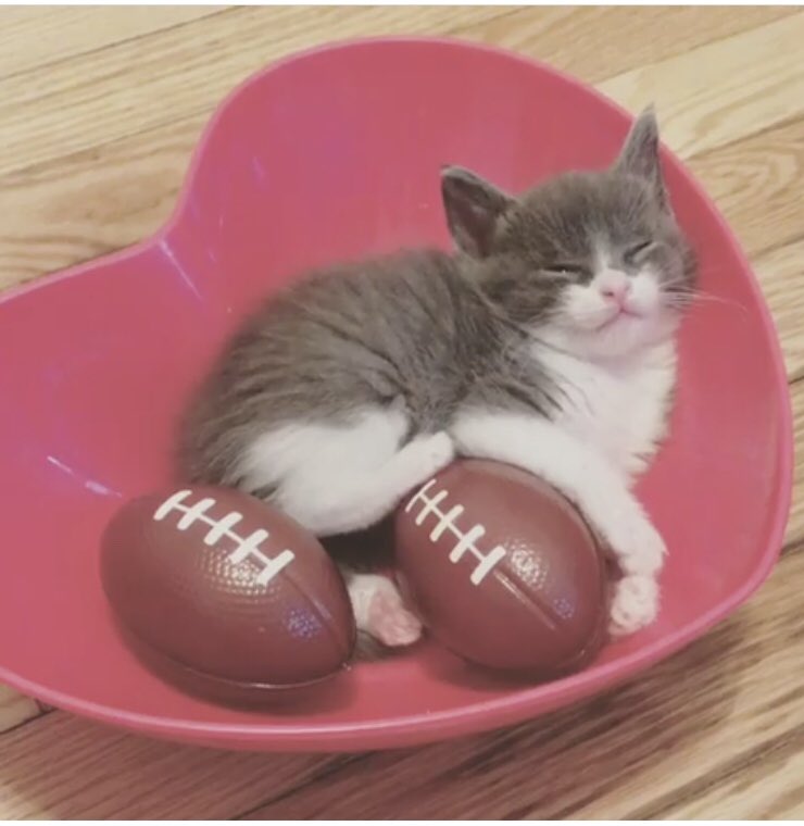 Black_Traveller's tweet photo. ** Happy #SuperBowlSunday sports fans!! #WaitAllYearForThis #SundayFunday #SportsFan #NFLGirl #GoodEats https://t.co/YuRQ2nG2Nx