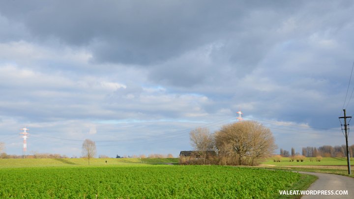 In den Rheinauen – 4 valeat.wordpress.com/2018/02/04/in-…