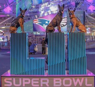It's #SuperBowlSunday and our #USCG #K9 teams have been conducting security sweeps in the Minneapolis Convention Center leading up to the #SuperBowl. Canine Explosive Detection Teams are a critical capability the Coast Guard brings to security.