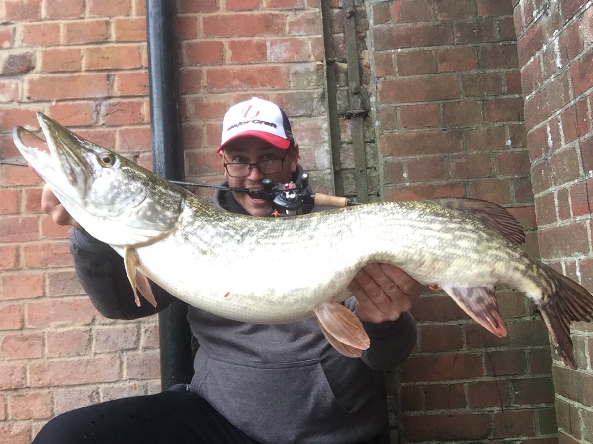 Giant on the bfs 2lb mainline challenge! <a href="/BerkleyFishing/">BerkleyFishing</a> Trilene100%fc mainline and 6lb leader #giant #lunker #bfs <a href="/mike_Iaconelli/">Mike “IKE” Iaconelli</a> <a href="/ikeliveshow/">Ike_Live</a> <a href="/info_majorcraft/">メジャークラフト株式会社</a>