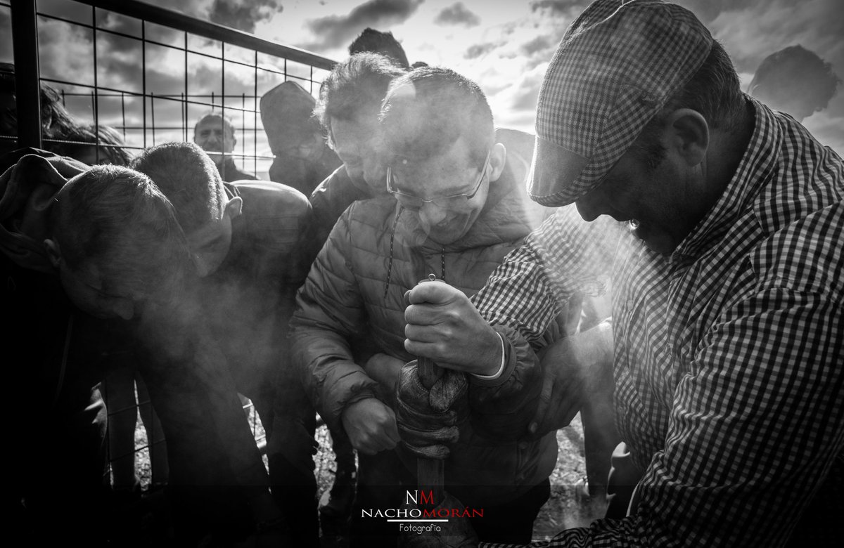 100x100Toros's tweet photo. "Tu corazón es libre, ten el valor de hacerle caso" https://t.co/gFmySJ6Gid