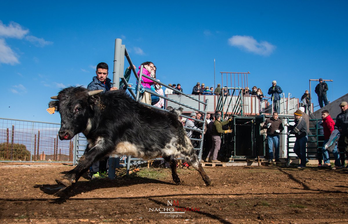 "Tu corazón es libre, ten el valor de hacerle caso"