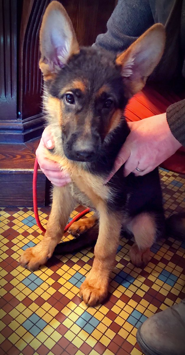 Queens Lytham tweet media