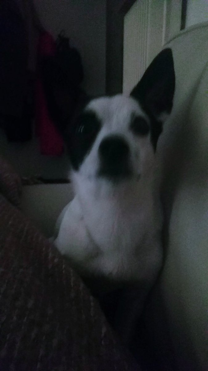 sofiamondego's tweet image. Fany ❤️😘