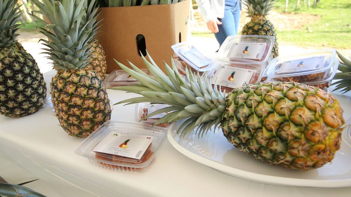 GobiernoDanilo's tweet image. Eustaquio sabe bien el objetivo de las #VisitasSorpresa, por eso: “Los productores se comprometen a que es un financiamiento, porque entendemos que lo que el presidente hace con nosotros hay que devolverlo, para que el lo pueda seguir invirtiendo en otras realidades del país”.