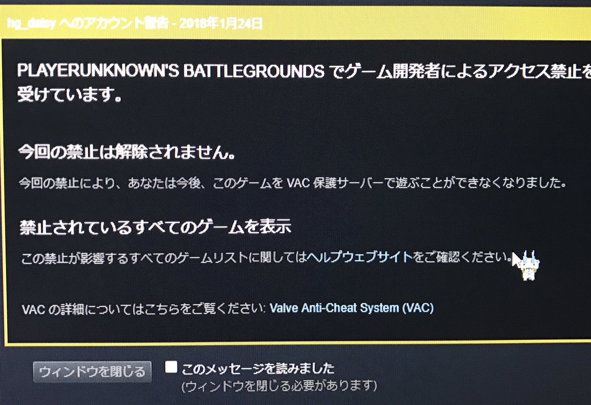 ひなぎく Pubg誤banに関して 問い合わせがすごく多いので 簡単にまとめました 1月24日 Pubg 誤 Ban 画像 1月31日 Ban解除される 画像 2月5日 運営から返信届く 画像 問い合わせは運営公式と Valveの2箇所にメールしました 少しでも誤ban