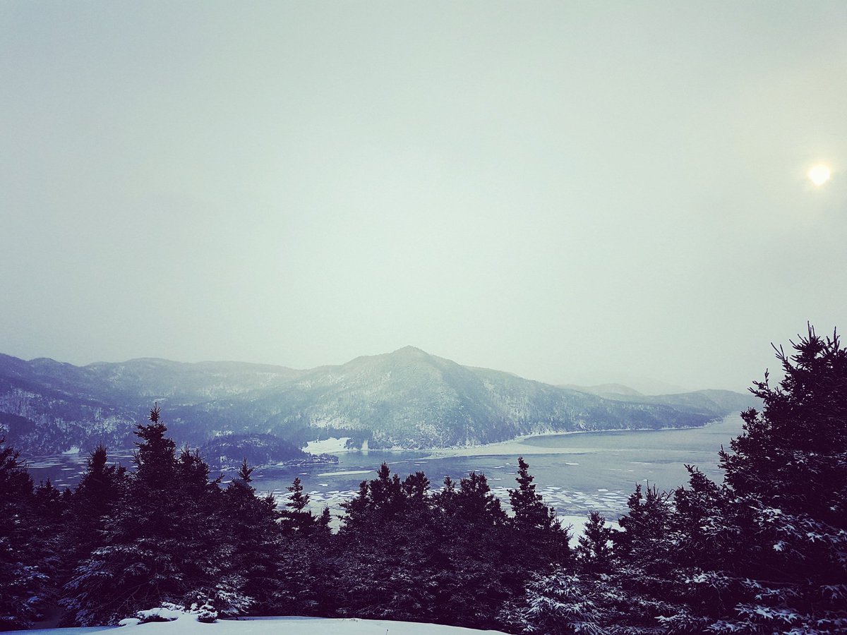 Ice-panorama #bonnebay #grosmorne #norrispoint #winter #nlwx