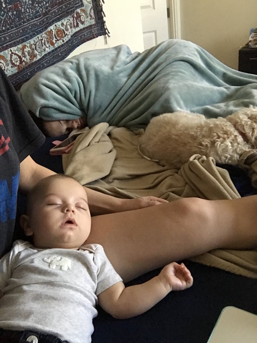 Everyone napping on my bed but me while I study 😅