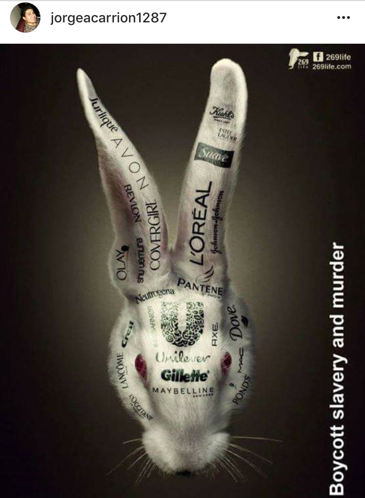 VeganVendetta01's tweet photo. #AnimalRights stop #animaltesting #boycottanimaltesting https://t.co/W0vIunR8Ks