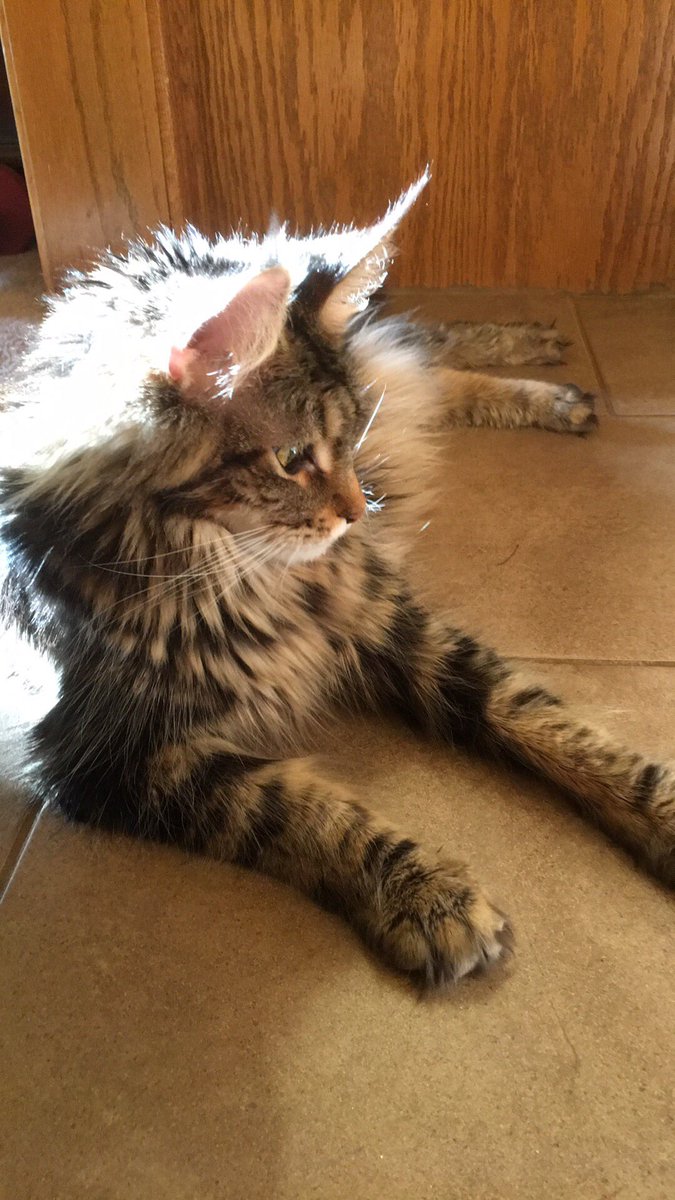 Mama Marcela taking a much needed break!