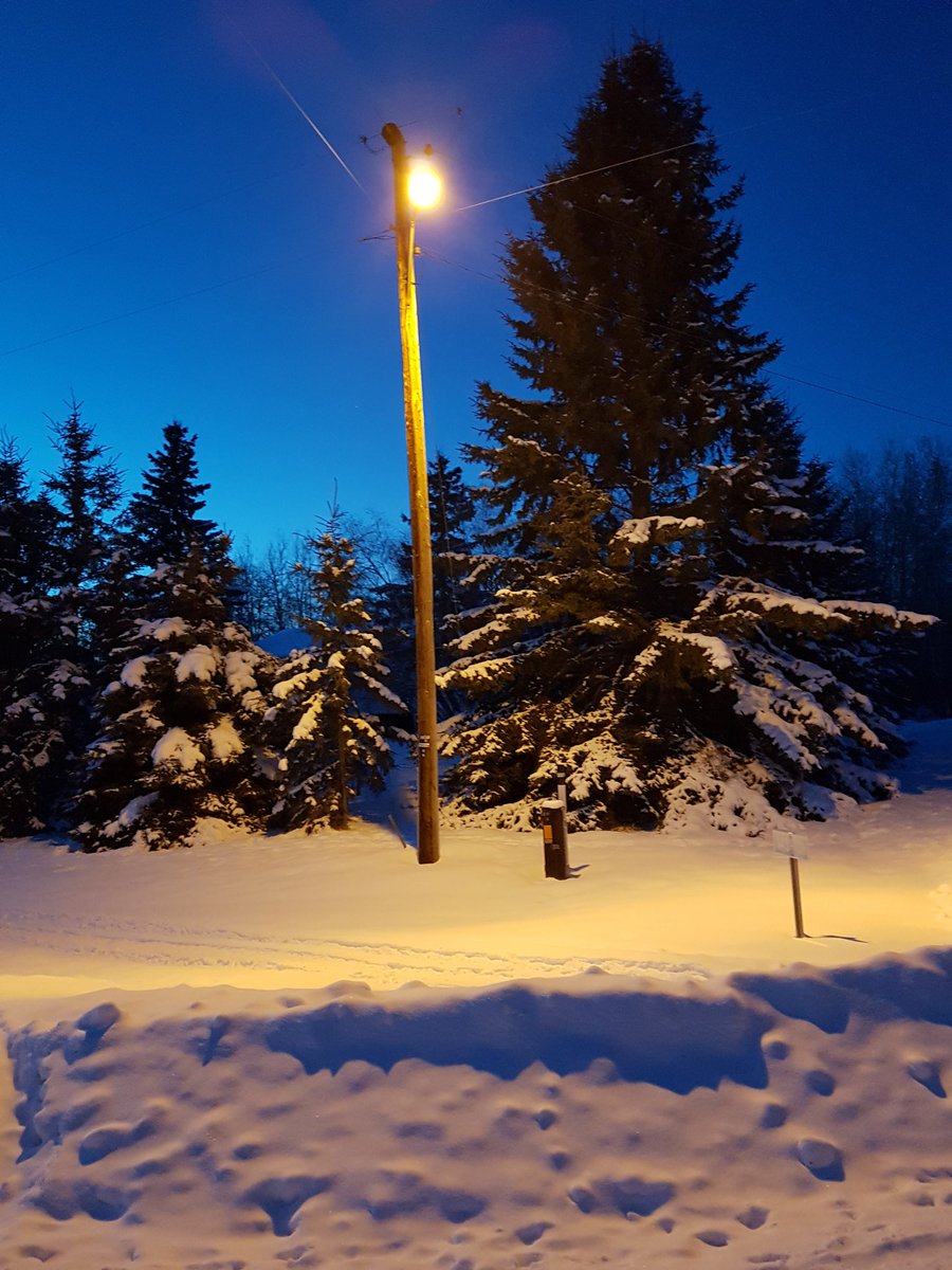 JasonKarras's tweet photo. Anna Salim is still my favorite ATCO employee ... after months of no light, years later my dog and I march bravely in the night! #AnnaSalim #FaveAtcoEmployee https://t.co/I1g7jUQAam