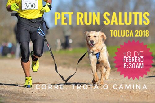 INNOVARE_MX's tweet photo. Los invitamos a disfrutar del mejor evento canino “PET RUN SALUTIS”
Corre, trota o camina con tu mascota

Domingo 18 de febrero 8:30am
Salida y meta: paseo Colón frente a la Glorieta del Águila de @TolucaGob 
Distancias: 2.5K y 5K
@Marcelaglezs @alfredodelmazo https://t.co/Lqg6iTyqwV