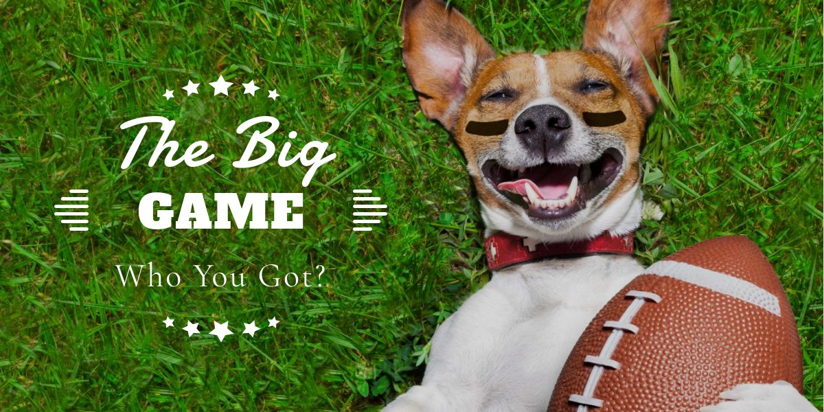 Whether you're watching for the commercials, the halftime show, or the actual game - what are you looking forward to most during #thebiggame this year?
