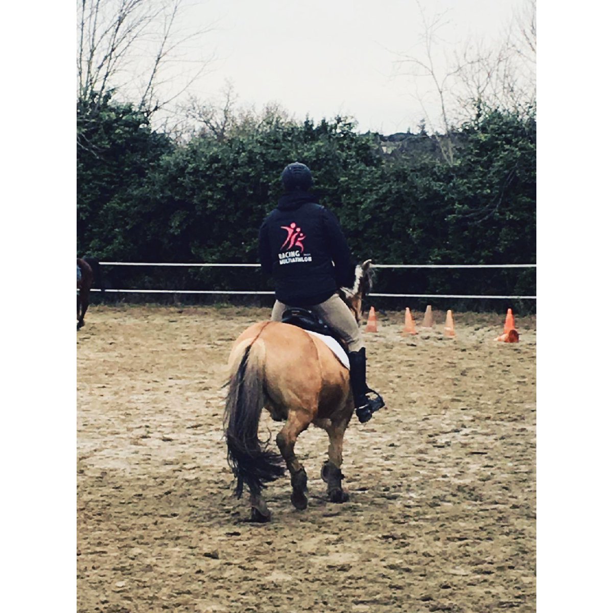 Quand tu tires le gros lot à l'épreuve d'équitation... Au moins ça fait rire les copains #riding #badpick #pentathlon @TheUIPM