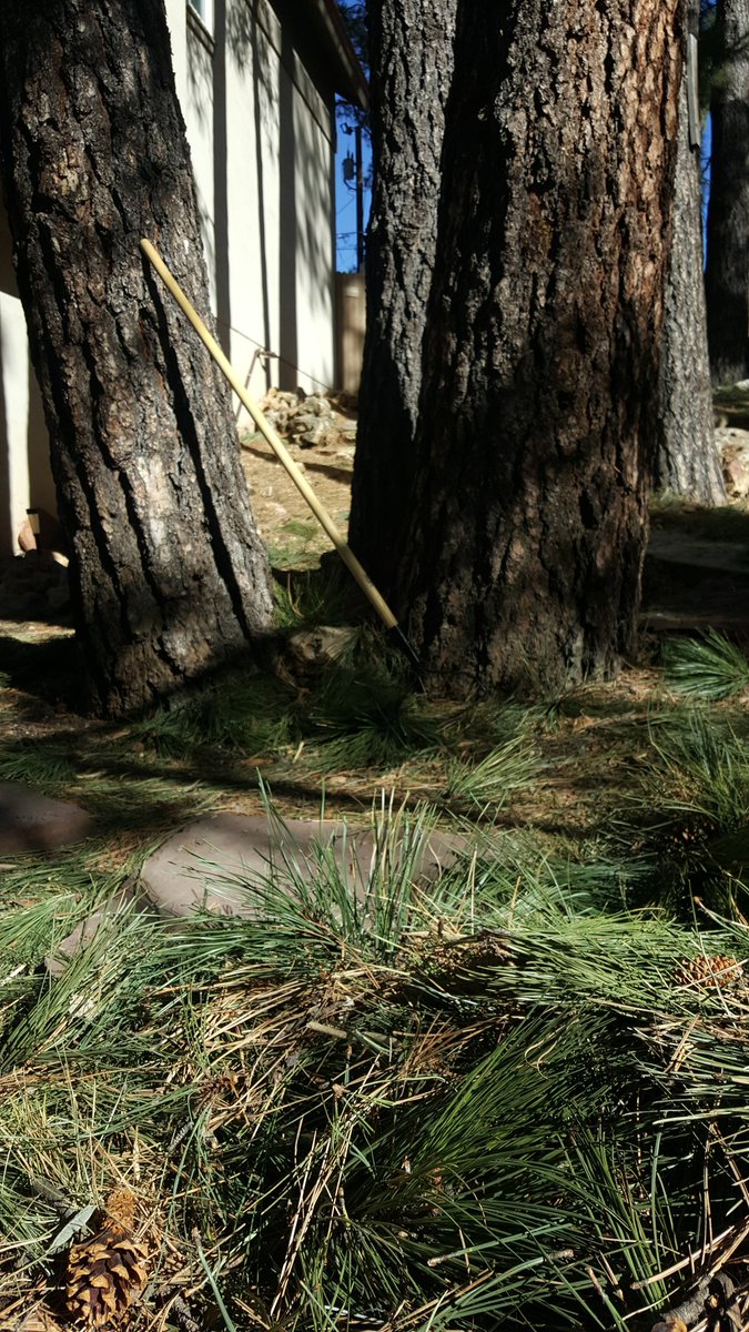forest_partners's tweet photo. My trees must be pretty tasty this year! #squirrelbuffet It's a good day for a little #firewise clean up to get some exercise before the big foosball game! @Firewise @fireadaptednet https://t.co/tZQlk9TYSc