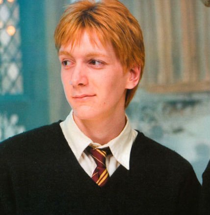 Jordi Cruz, presentador de Art Attack, puso la voz en español a Fred Weasley.
RT si no lo sabías.