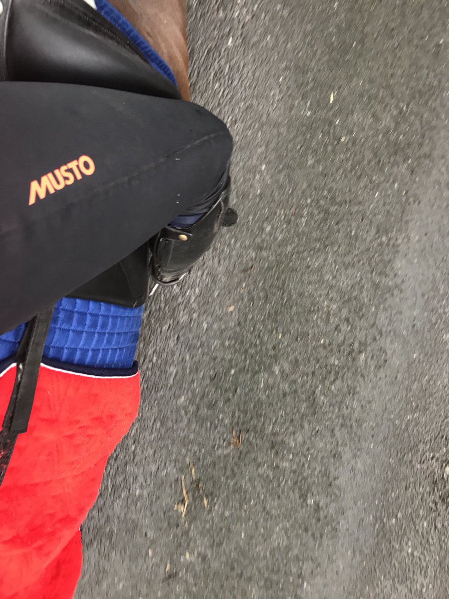 Freya_Elliott's tweet photo. Willoughby, Wally and I keeping snug and dry in this chilly weather, in my @mustoclothing waterproof breeches and coat with our Thermatex quarter sheet! 

@DatatagID #DatatagIt https://t.co/H3CBxeSXcU
