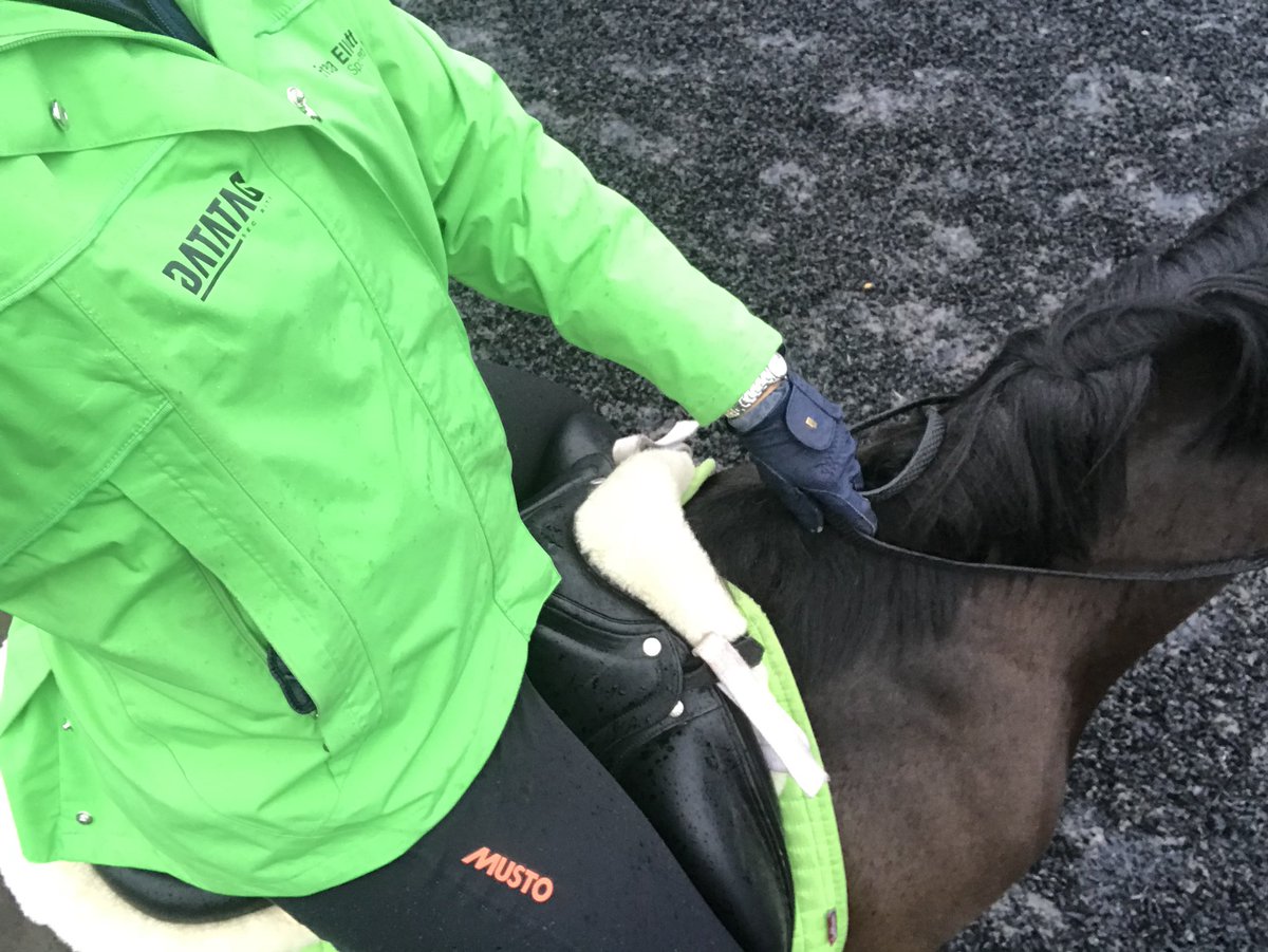 Freya_Elliott's tweet photo. Willoughby, Wally and I keeping snug and dry in this chilly weather, in my @mustoclothing waterproof breeches and coat with our Thermatex quarter sheet! 

@DatatagID #DatatagIt https://t.co/H3CBxeSXcU