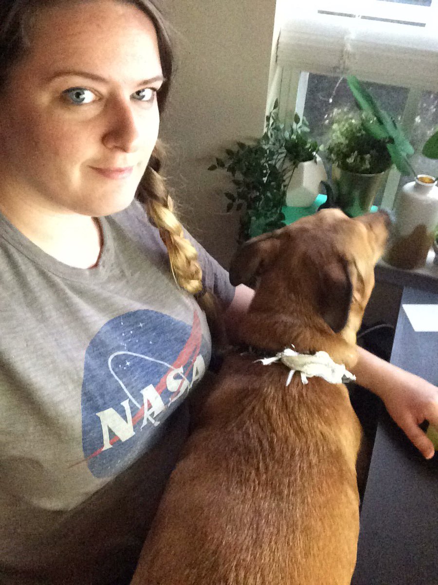 kaybugs35's tweet photo. When you're editing video but your dog wants all your attention #spoileddog #pixelpooch #EverydaySavage #wow https://t.co/K0yUc2cvbw