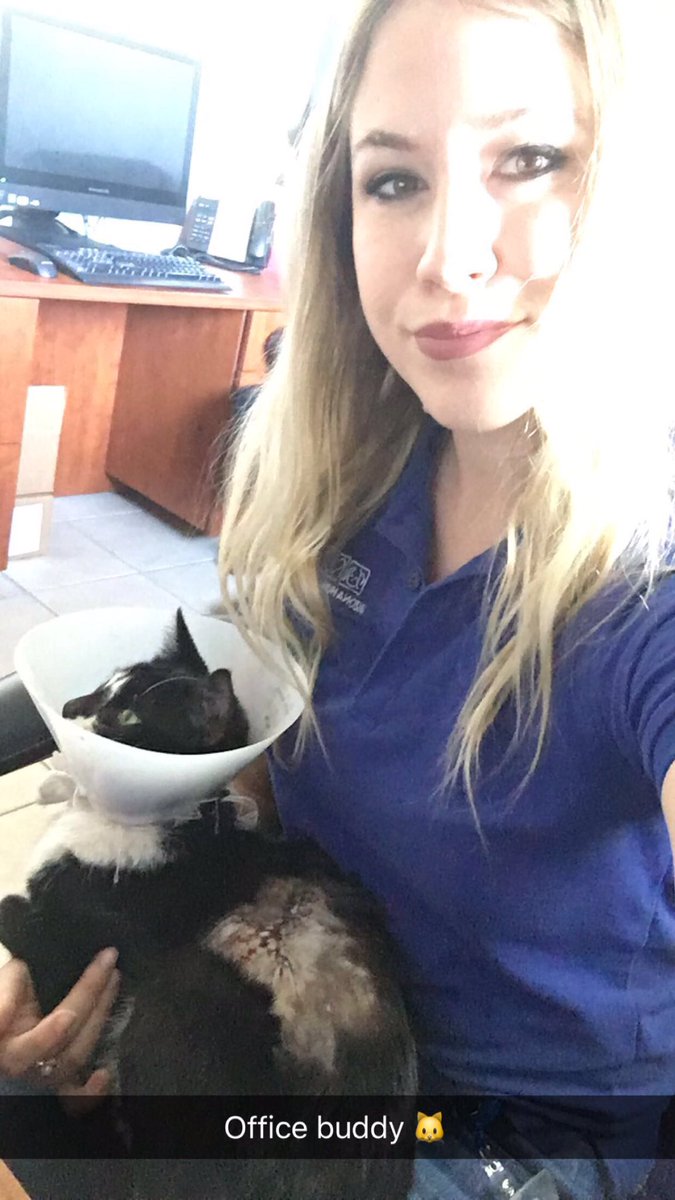 KelseyLee_D's tweet photo. Don't even mind working on #SuperBowlSunday cuz I love my job so much ❤️❤️❤️ #WagLocal #AdoptDontShop https://t.co/OzaImBvbRS