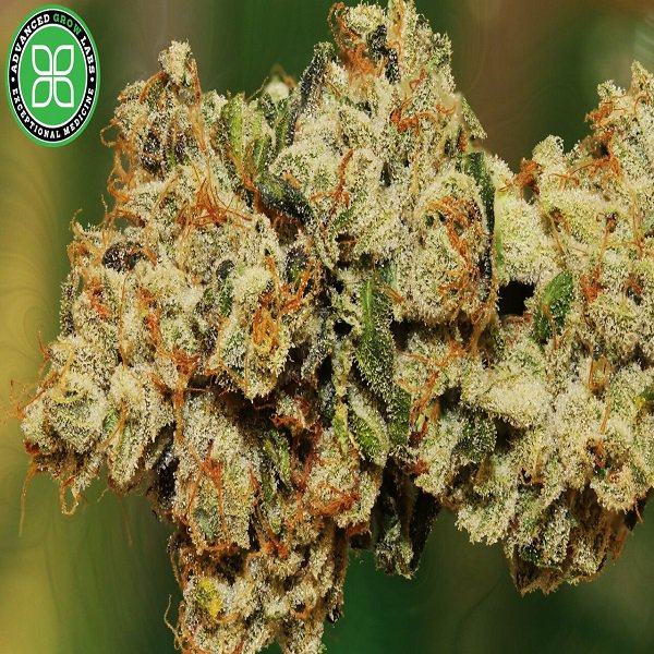 MadBotany's tweet photo. @CANNiLIVE Fruity Pebbles homey! #BreakfastBuds hahaha https://t.co/ECTWbmxqFh