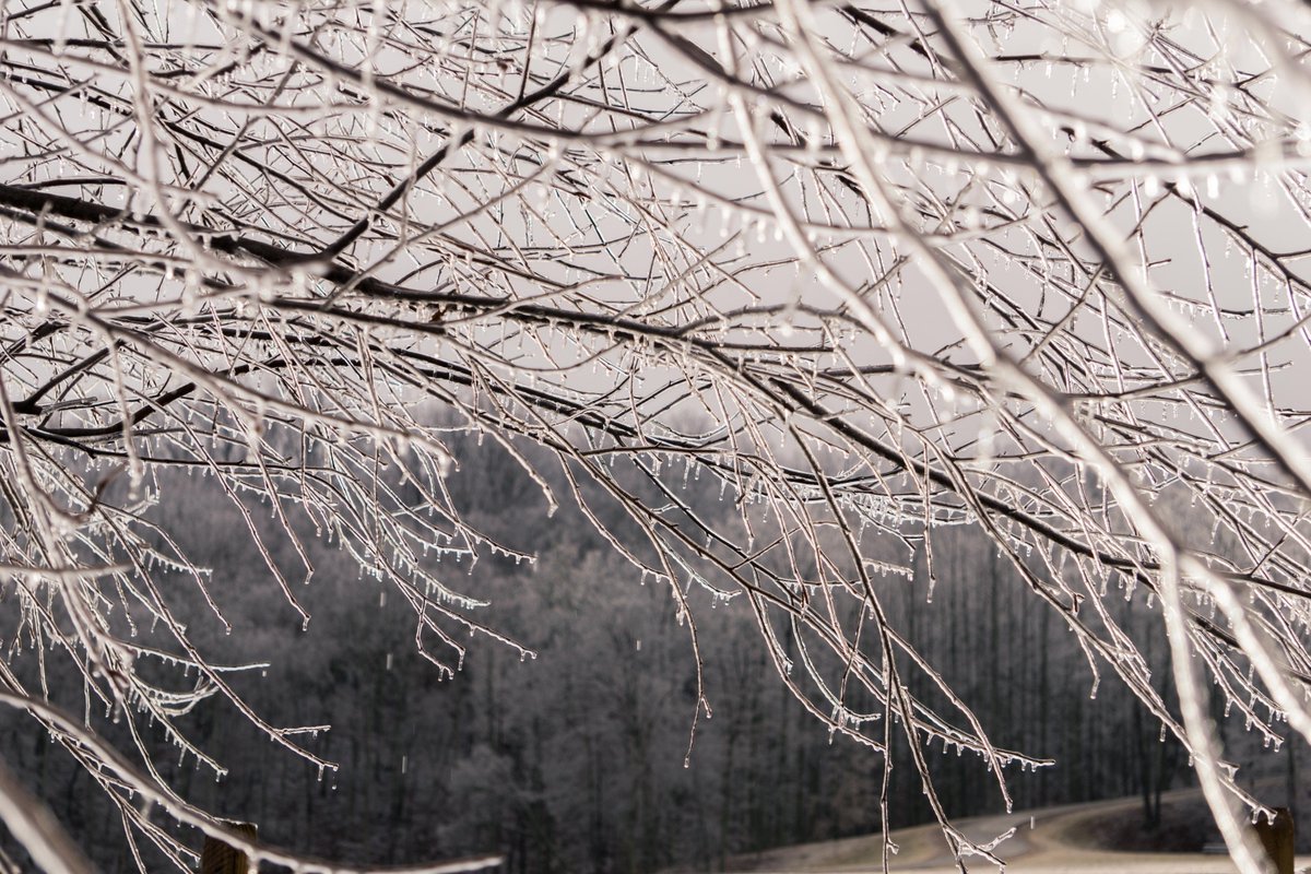 Seglinda's tweet photo. Ice everywhere.  Good afternoon to stay inside and knit #obsessedwithknitting #swvawx https://t.co/yPHxKHLoMc