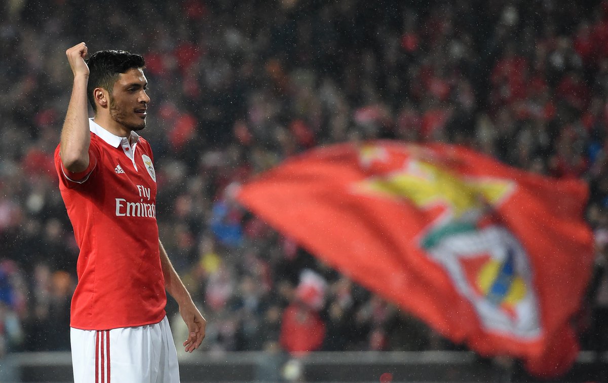 Raul_Jimenez9's tweet photo. Hago lo que amo y amo lo que hago. #RJ9 ⚽️🥅 #LaSuerteNoJuega https://t.co/pCwr13R2n1