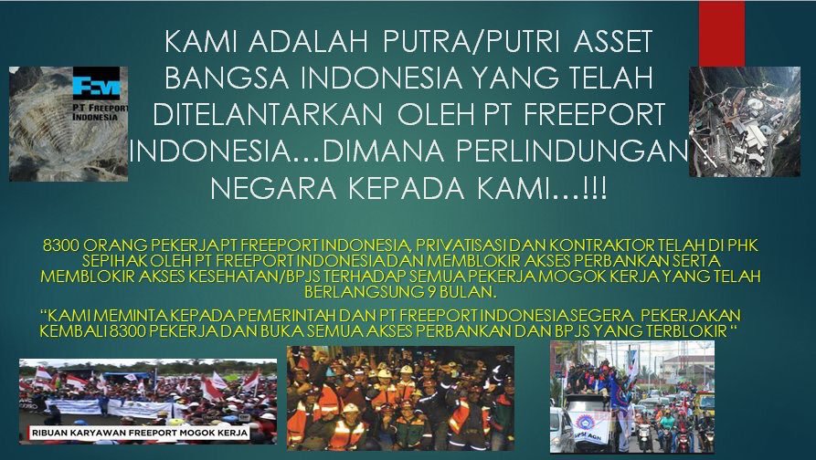 <a href="/fadlizon/">FADLI ZON</a> Tolong Bpk <a href="/jokowi/">Joko Widodo</a> Presiden yg terhormat,utk bantu rakyat Bpk yg ada di Papua Timika yg di PHK sepihak krn menolak"Furlogh"yg tdk ada dlm UUD Tenaga kerja kita. Kalau lebih jelas Bpk lgsg lihat kami disini sdh byk yg meninggal para karyawan &amp; keluarganya.<a href="/lokataru_id/">Lokataru Foundation</a> <a href="/gobai_aser/">Aser Gobai</a>