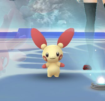 ポケモンgo プラスル マイナンの出現地域入れ替えが切望される 早く一緒にさせたい ポケモンgo攻略まとめ速報 ポケモンgo プラスル マイナンの出現地域入れ替えが切望される 早く一緒にさせたい ポケモンgo攻略まとめ速報
