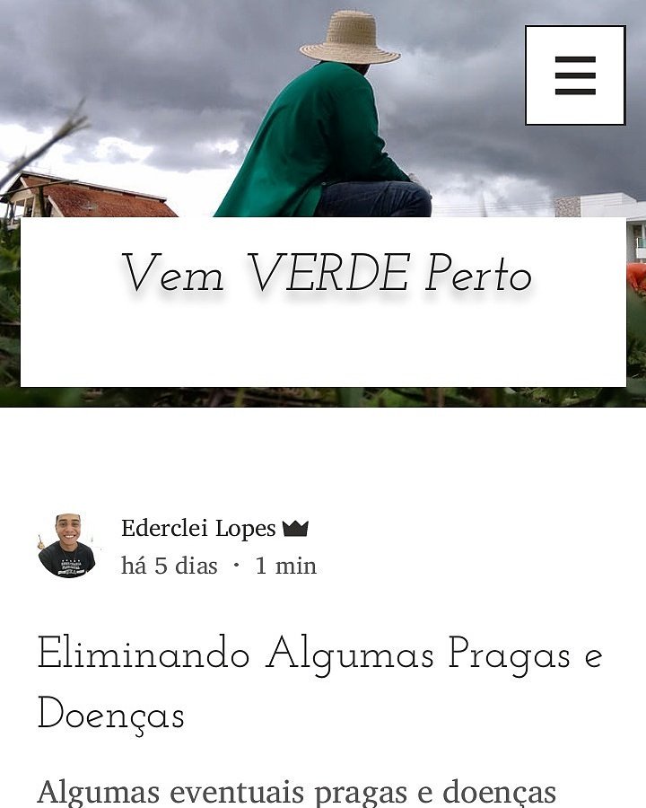 Para acessar basta clicar no link edercleylopes88.wixsite.com/vemverdeperto