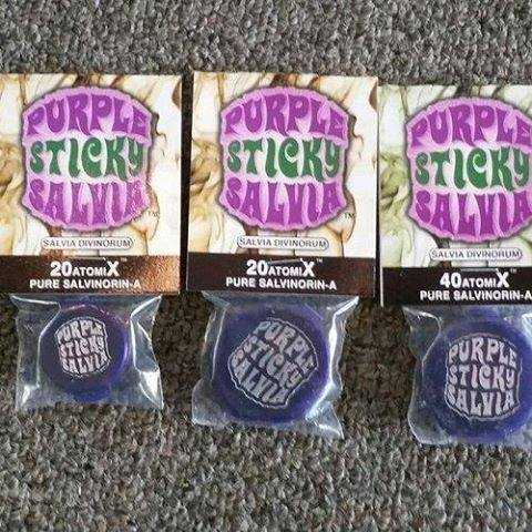 honeyvelez07's tweet photo. PURPLE STICKY SALVIA is the strongest Salvia on the planet! 

PROCEED => https://t.co/DuVDCCTvob

It is available in 20/40/60/80/100X #PurpleSticky #PurpleStickySalvia #Salvia #SalviaDivinorum #SalviaDragon https://t.co/q1FH6hoVKF