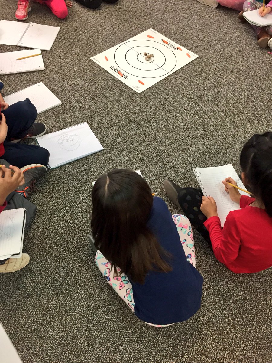 RHoefar's tweet photo. One of the snails’ basic needs was motivating them to leave the circles. Which one? #reaganrays https://t.co/T38CrH7yez