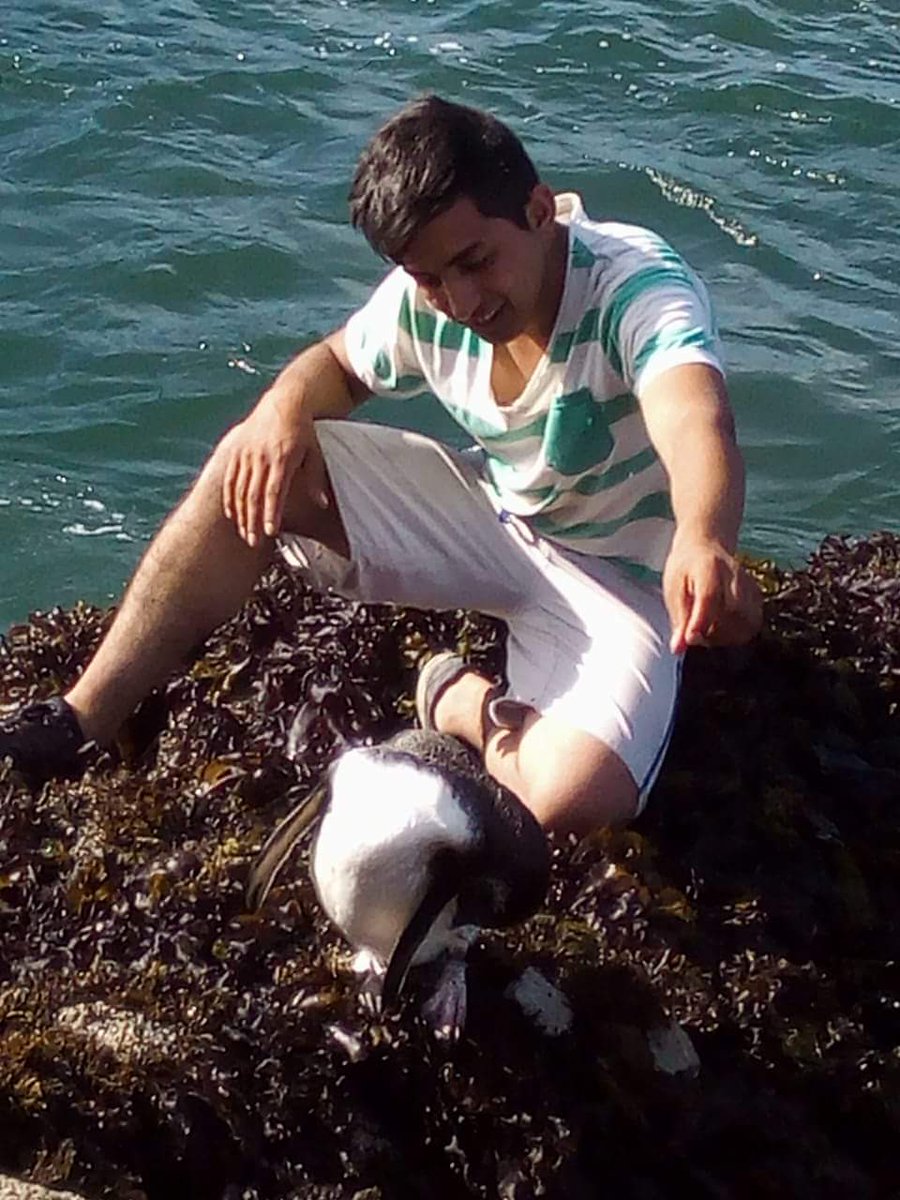 Los dueños de casa hoy nadaron unos metros y vinieron a saludar a los visitantes a la Playa de Topocalma 🐧🐧🏄🌞🌸
Nuestro deber es proteger, cuidar y fomentar nuestro santuario natural.
Pingüinos en #Topocalma #Litueche.
<a href="/tv_Amaro/">Amaro Gómez-Pablos</a> 
<a href="/elrancaguino/">Diario El Rancagüino</a> 
<a href="/eltipografo/">El Tipógrafo</a> 
<a href="/latercera/">La Tercera</a>