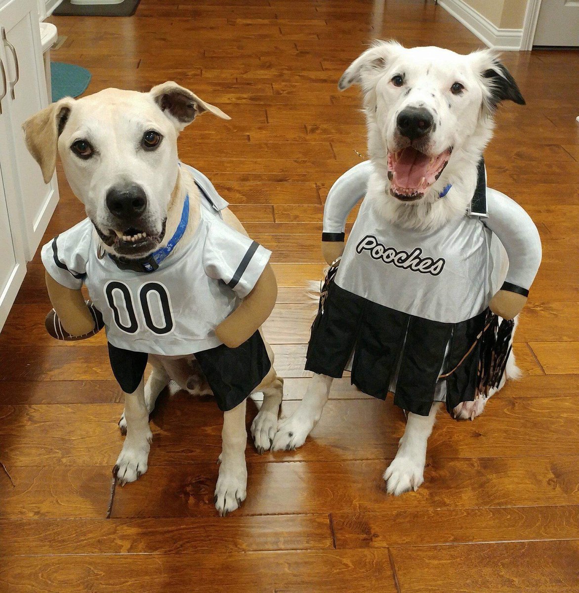 squirt_quint's tweet photo. Ready for the Super Bowl! @KraftBrand #SuperBowl #SuperBowlLII #SuperBowlSunday #FamilyGreatly #KraftEntry https://t.co/vXaAADpnLU