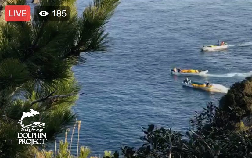 Dolphin_Project's tweet photo. We are LIVE at #TheCove in Taiji, Japan as banger boats are pushing a pod of dolphins in. Watch on Facebook @ Ric O’Barry’s Dolphin Project. #DolphinProject https://t.co/lEbtD3dg6L