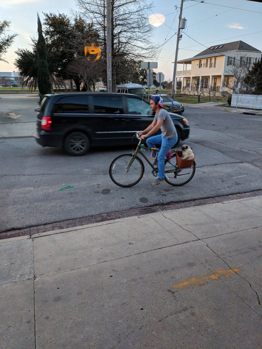 JoshPack_'s tweet photo. what a po' boy https://t.co/k7K1oe1mLa