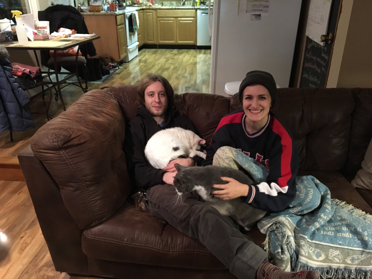 enoughatthree's tweet photo. #FamilyGreatly #KraftEntry 
The cats love a good Super Bowl !! https://t.co/0SFmbmii0d