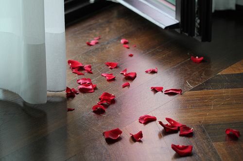 Bellamy and the Brute by Alicia Michaels‘“Illness and disability make people uncomfortable. They don’t want to look straight at it, because it reminds them of how fragile they are, too.”’