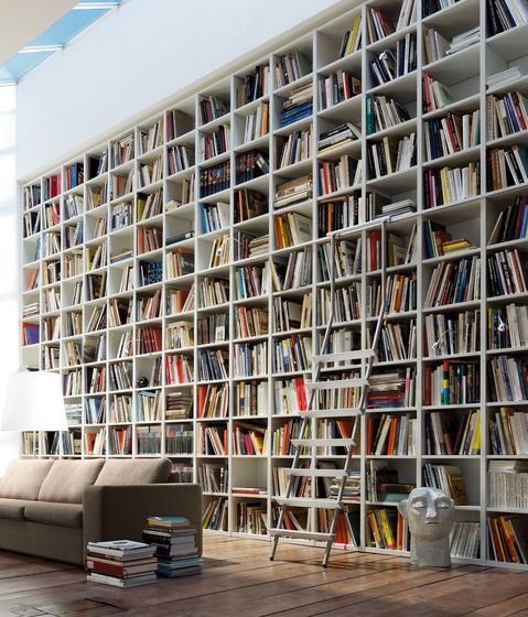 Bellamy and the Brute by Alicia Michaels‘“Illness and disability make people uncomfortable. They don’t want to look straight at it, because it reminds them of how fragile they are, too.”’