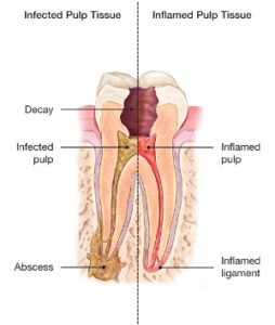TheDentalFocus tweet picture