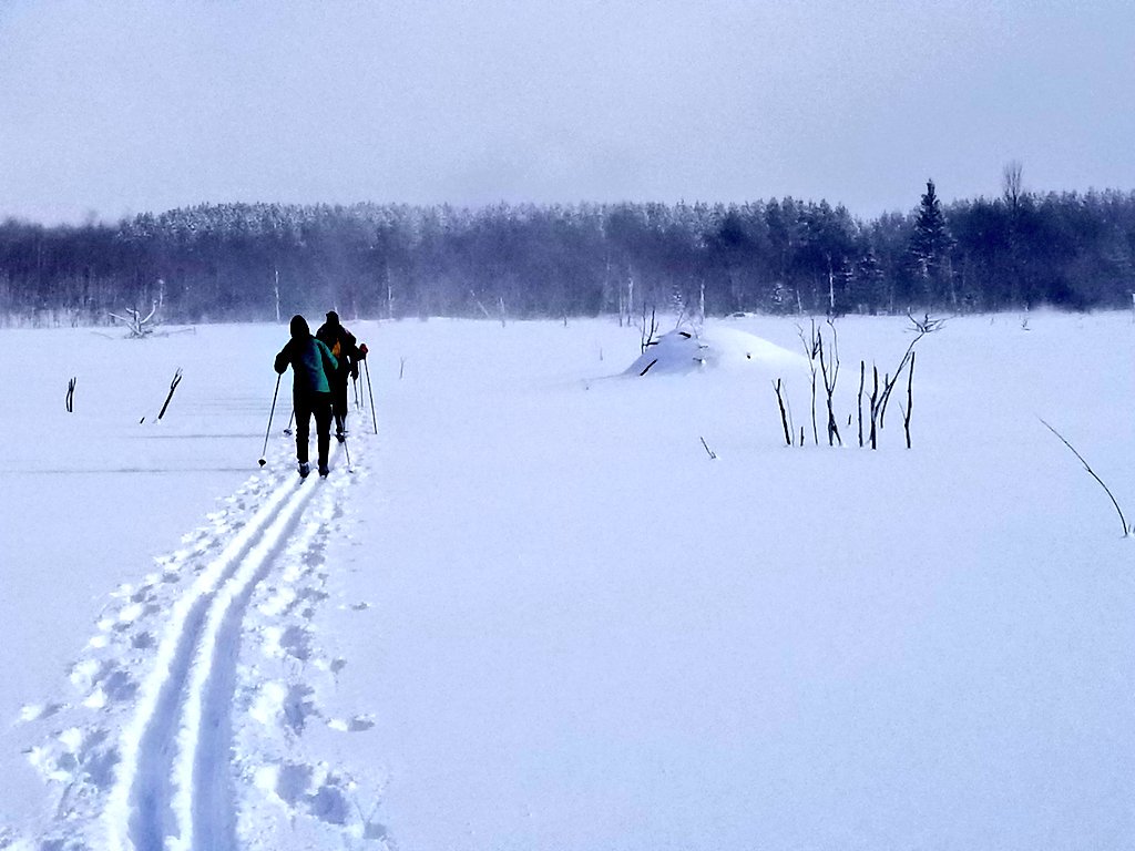 UPTreefarmer's tweet photo. Skiing on the Ruby Marsh during this afternoon's Keweenaw Nordic Ski Club's Retro Ski at #MaastoHiihto #ChurningRapids #Hancock #Keweenaw #PureMichigan #crosscountryski #xcski #beaverden #marsh https://t.co/ebx6ZjZhFR