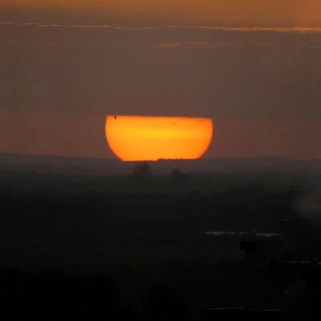 metsul's tweet photo. IMAGEM | Pôr do sol hoje em Canoas em foto do @sandrokmuller. https://t.co/H8fBtNxIuk