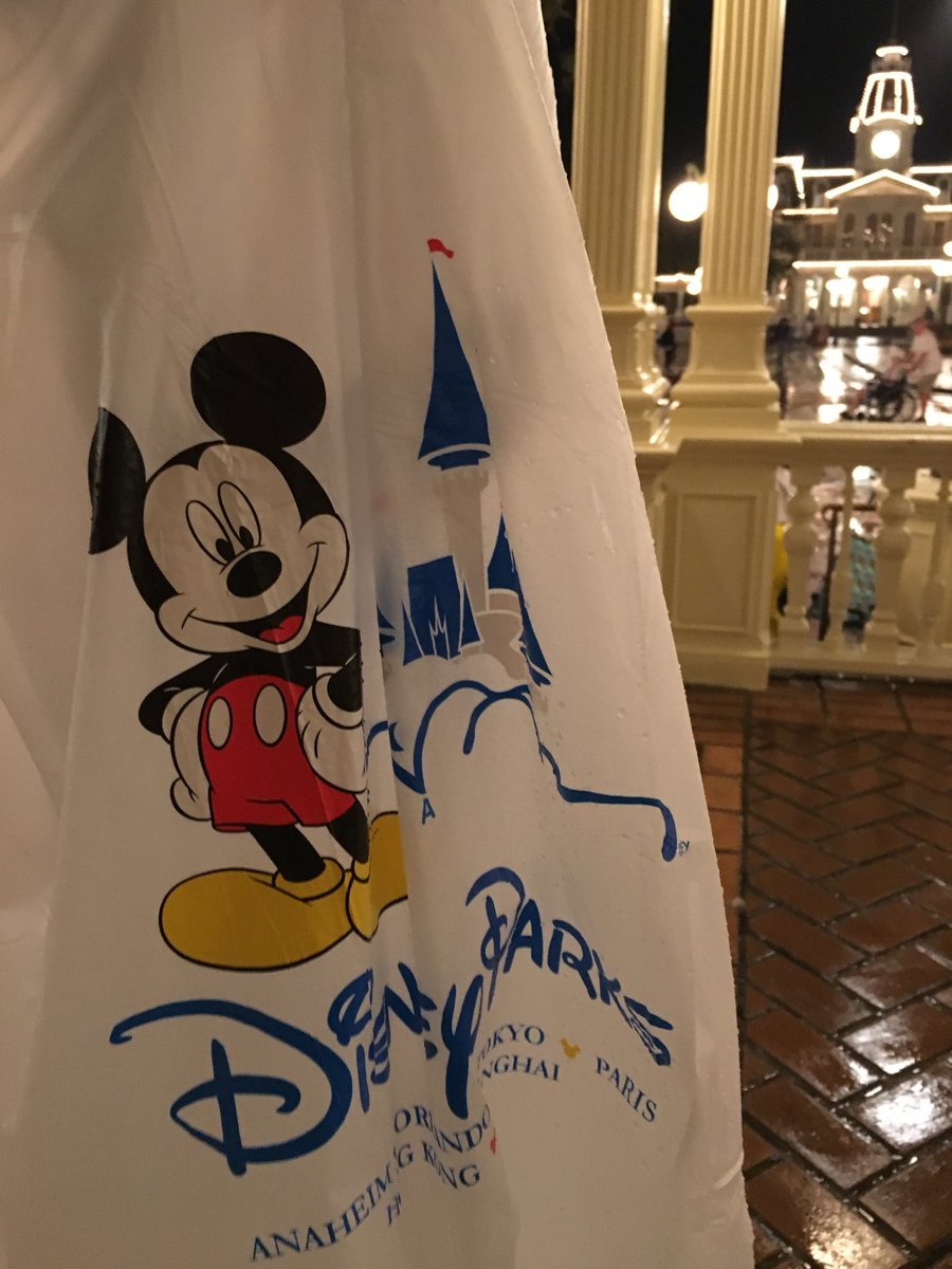 Wdwでどしゃぶりの雨 アトラクションやショーはどうなる 本日のディズニー
