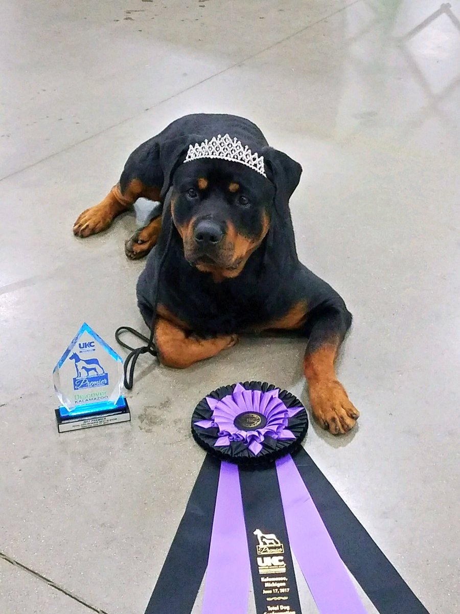 rottwatcher's tweet image. #FamilyGreatly #KraftEntry