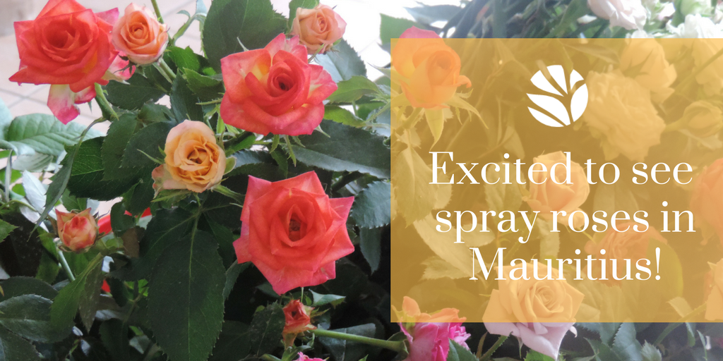 Mercer floral design (@mercerfloral) on Twitter photo 