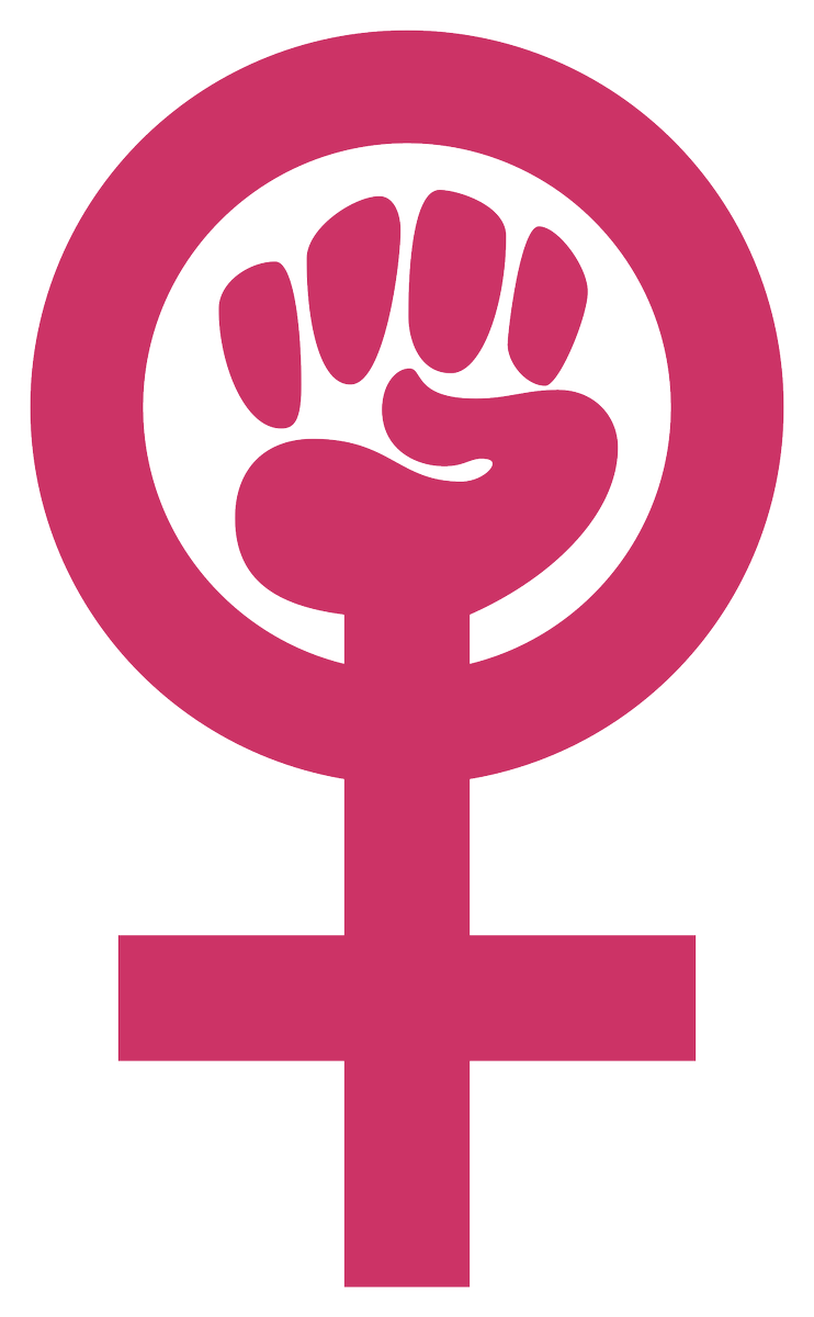 lex_timmermann's tweet photo. @alyssa_bish I chose the feminist power emblem because it reminds me that myself and women of all races, ethnicities and identities have a voice in this country. https://t.co/Sa5zQPlWJp #T3 #f https://t.co/gB4joPG6Ev