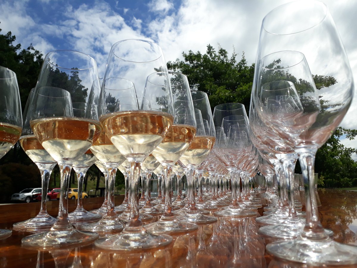 Clos Henri Vineyard tweet media