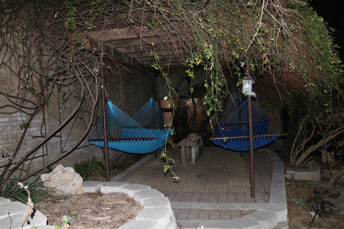AmandaBhirdo's tweet photo. 7. Little known fact for you, TXST has it’s own “secret garden”. Have you found it yet? #FDOM18 #TXST https://t.co/ffh5iCaNkB