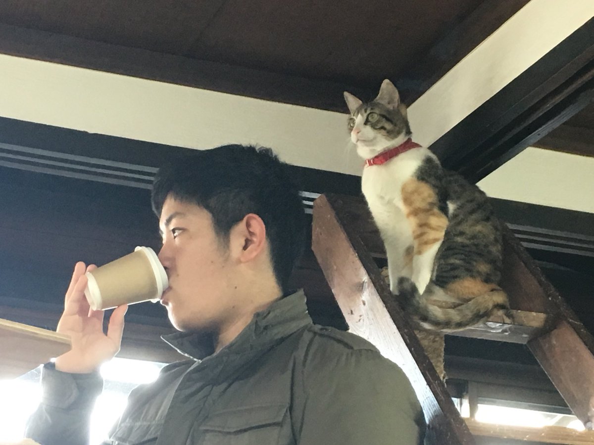 なこ 空猫カフェ行って 尾道唯一の猫カフェ行って 夜は寮で送別会してくれて 昨日はとても充実した1日だったな 寒かったのだけはいただけないけど ほんまにベーグルも美味しかったし 猫可愛かったし 鍋楽しかったし 尾道を感じられる贈り物 なこ 空猫カフェ行って 尾道唯一の猫カフェ行って 夜は寮で送別会してくれて 昨日はとても充実した1日だったな 寒かったのだけはいただけないけど ほんまにベーグルも美味しかったし 猫可愛かったし 鍋楽しかったし 尾道を感じられる贈り物